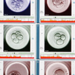 ¿Cómo se origina la vida en un laboratorio?